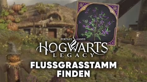 flussgras pflanzen hogwarts legacy|Hogwarts Legacy: Wie man Flussgras bekommt